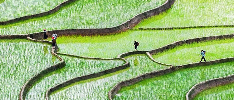 南宫娱乐·NG28(中国集团)官方网站