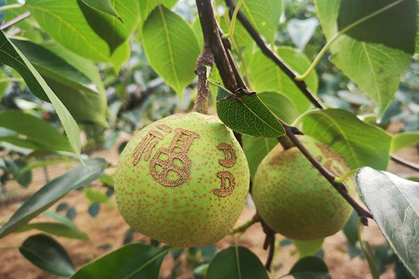 南宫娱乐·NG28(中国集团)官方网站